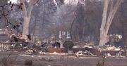 31 ofiar, blisko 230 zaginionych. Tragiczny bilans pożarów w Kalifornii