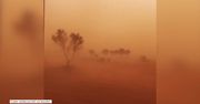 Burze piaskowe w Australii. Osobom chorym zaleca się nie wychodzić z domu