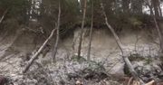 Wielkie sprzątanie nad Bałtykiem. Sztorm wyrządził wiele szkód