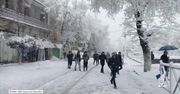 Opóźnione loty, paraliż na drogach. Atak zimy w Algierii zaskoczył nie tylko drogowców