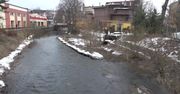Do rzeki Bóbr w Kamiennej Górze wyciekł olej.