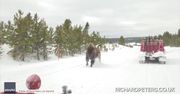 Rozpędzony bizon galopował tuż obok samochodu. Niebezpieczne spotkanie w parku narodowym Yellowstone