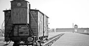 Muzeum Auschwitz: w tym roku nie więcej niż 550-600 tys. zwiedzających