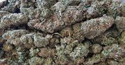 NARKOTYKI SPRZEDAWALI W HURTOWYCH ILOŚCIACH, GŁÓWNIE POWYŻEJ KILOGRAMA