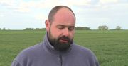 Stado na wpół dzikich krów zostanie wybite. Zwierzęta terroryzowały mieszkańców Lubuskiego, właściciel nie reagował