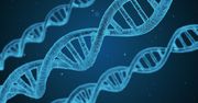 Badania DNA wpłyną na sukces kierowcy? Na podstawie genów specjaliści wiedzą jakie zlecić ćwiczenia, aby kierowca stał się sprawniejszy