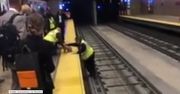 Metro w San Francisco stanęło. Wszystko po to, by uratować szczeniaka