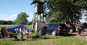 Obrońcy praw zwierząt pilnują stada krów z Deszczna