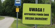 Kolejne przypadki ASF w Polsce