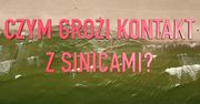 Sinice w Bałtyku, kąpieliska zamknięte. Nie lekceważmy ostrzeżeń