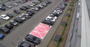 Burza wokół miejsc parkingowych dla kobiet w ciąży. “Przesada. Ciąża to nie jest choroba”