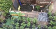 Plantacja marihuany odkryta przy pomocy drona. Sukces katowickich policjantów
