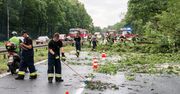 PSP: 901 interwencji związanych z usuwaniem skutków burz