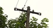 12-latka śmiertelnie porażona prądem. Wbiegła na leżące na polu zerwane przewody elektryczne