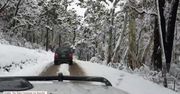 Wyzwanie dla kierowców w Australii. Na południu kraju spadł śnieg