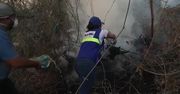 Ochotnicy zgłaszają się do gaszenia pożarów lasów w Boliwii