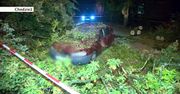 Połamane drzewa, uszkodzone auta. Ponad 600 interwencji