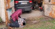 Warszawska policja zlikwidowała dwie „dziuple samochodowe”