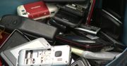 Zoo we Wrocławiu zbiera stare telefony. Środki uzyskane z ich recyklingu pomogą ratować ginące gatunki