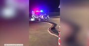 Radiowóz przejechał po setkach puszek z piwem. Australijska policja zlikwidowała nielegalny alkohol