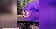 Dynia na halloween inspirowana Pokemonami. Mieszkańców Florydy straszy Gastly z dymiącą głową