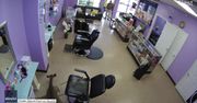 Jeleń wybił szybę i wbiegł do salonu kosmetycznego w USA