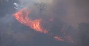 10 tys. ewakuowanych, straty szacowane już na 100 mln dolarów. Szaleją pożary w Kalifornii