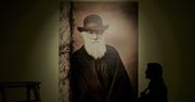 Dzieło Darwina “O powstawaniu gatunków” ma już 160 lat