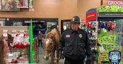 Świąteczny patrol w sklepie. Policjant sprawdzał alejki razem z… koniem