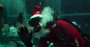 Płetwonurek w stroju świętego Mikołaja nakarmił rekiny w brazylijskim oceanarium
