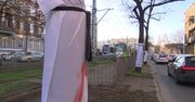 Ekolodzy sprzeciwiają się wycięciu drzew pod buspasy w centrum Szczecina