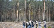Sadzenie lasów może prowadzić do niedoboru wody