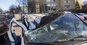 W związku z wichurą służby interweniowały 121 razy, w tym raz na morzu