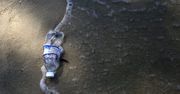 Udawane drugie życie plastiku