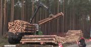 Sąd zablokował tymczasowo wycinkę lasu pod budowę “gigafabryki” Tesli pod Berlinem. Skargę złożyli obrońcy środowiska