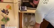 Sposób na nudę w domu? Challenge rozpakowywania zmywarki w… 60 sekund