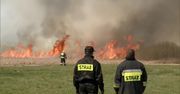 W Biebrzańskim Parku Narodowym spłonęło około 1,3 hektara bagien i lasu