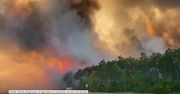 Pożary bagien na Florydzie. Walkę z ogniem utrudnia silny wiatr
