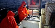 Od 4 czerwca do 31 sierpnia zakaz połowów w południowej części Bałtyku