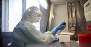 205 nowych przypadków koronawirusa i 6 osób zmarło