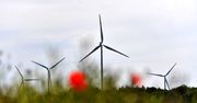 PGE uruchomiła nowe farmy wiatrowe o łącznej mocy prawie 100 MW