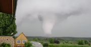 Tornado na zachodzie Rosji zniszczyło 145-letnią sosnę