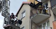 Policjanci uratowali psy pozostawione w rozgrzanych pomieszczeniach