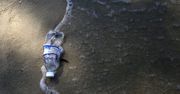 Plastik z Europy ląduje w azjatyckich wodach