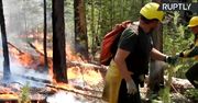 Ogromne pożary lasów na Syberii. Ogień strawił już ponad 300 tys. hektarów