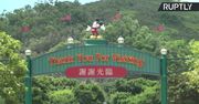 Disneyland w Hongkongu ponownie zamknięty. Przyczyną wzrost liczby chorych na Covid-19