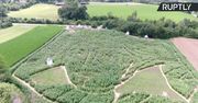 Niemieccy farmerzy stworzyli naturalny labirynt w kształcie twarzy Beethovena