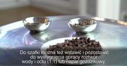 Jak pozbyć się moli spożywczych?