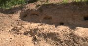 W Nowym Dworze na Podlasiu odkryto cmentarz z XVI wieku. Archeolodzy prowadzą tam badania