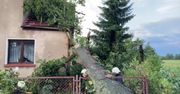 Straty po nocnych burzach. W Opolu spadające drzewa uszkodziły wiele samochodów i dom jednorodzinny